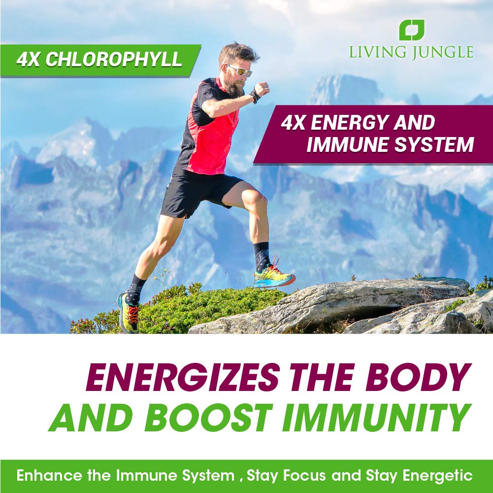 Premium Liquid Chlorophyll Supplement 500ml (3-Pack) - Detox & Energy Boost - Great for Smoothies, Juices & Daily Wellness - Expires Jun 2022
