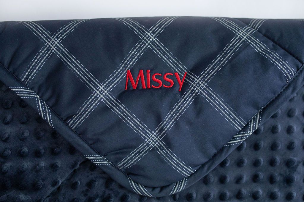 Blair Mini Blanket - Soft & Cozy Travel Blanket for Adults & Kids - Perfect for Airplane, Car, Office & Home Use