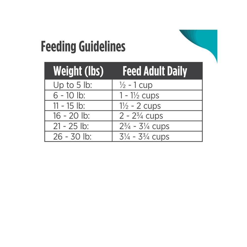FrontRunner Small Breed Adult Dog Food - Turkey, Whitefish & Quinoa Recipe - High Protein Dry Kibble for Small Dogs - Perfect for Indoor & Active Lifestyles