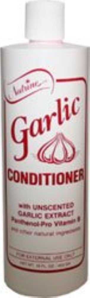 Nutrine Garlic Conditioner for Hair Growth - 16 oz (Pack of 12) - Deep Moisturizing & Repair for Dry, Damaged Hair - Salon Quality Treatment for Men & Women - Use After Shampoo for Soft, Shiny Hair