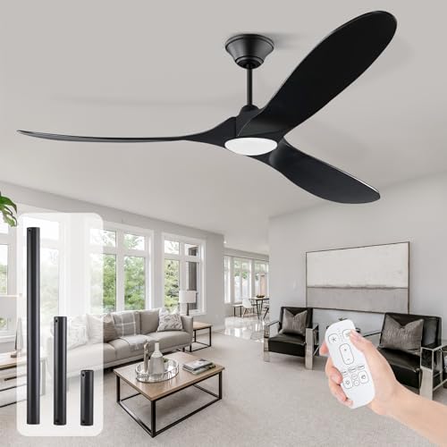 60 inch Black Ceiling Fan