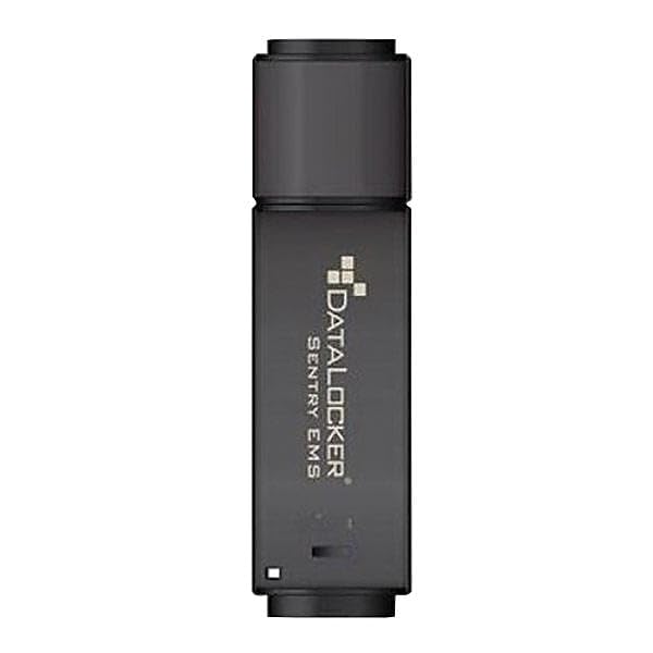 DataLocker Sentry One Encrypted USB Flash Drive - 256GB Secure Storage with Hardware Encryption for Business & Personal Use - Perfect for Sensitive Data Protection, Financial Documents & Remote Work