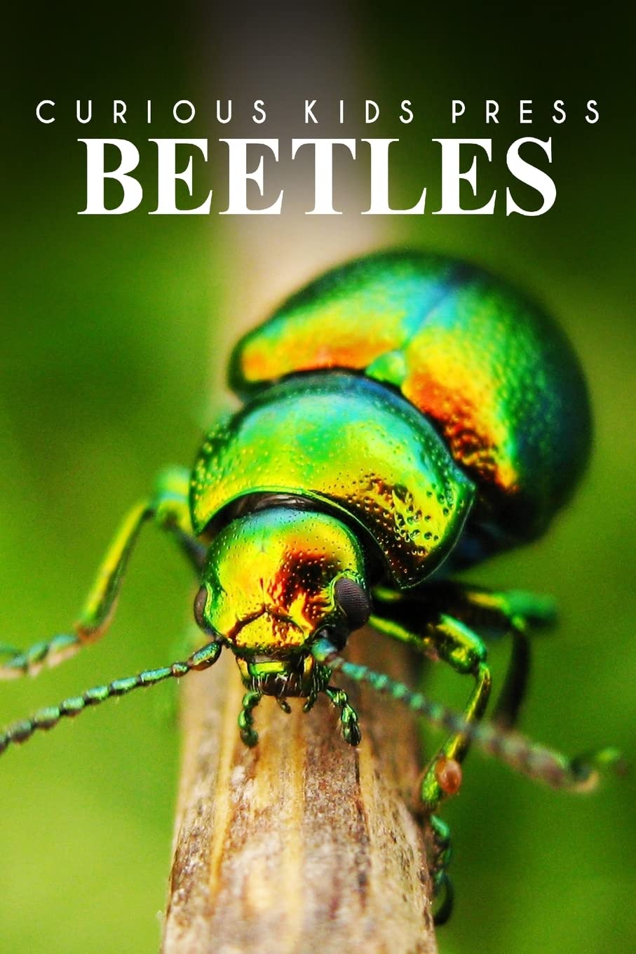 Beetles - Curious Kids Press: Educational Animal Book for Children Ages 4-6 | Wildlife Learning & Nature Exploration for Preschoolers | Perfect for Bedtime Stories & Classroom Reading