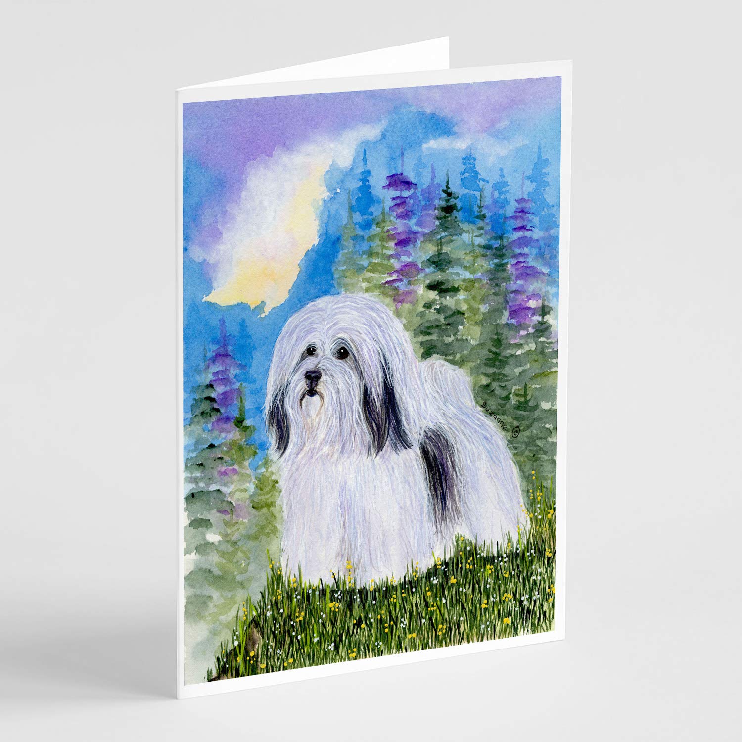 Caroline's Treasures SS1034GCA7P Havanese Dog Blank Greeting Cards - Pack of 8 A7 Size (5x7) Note Cards with Envelopes | Whimsical Puppy Design for Birthday, Thank You & Holiday Cards