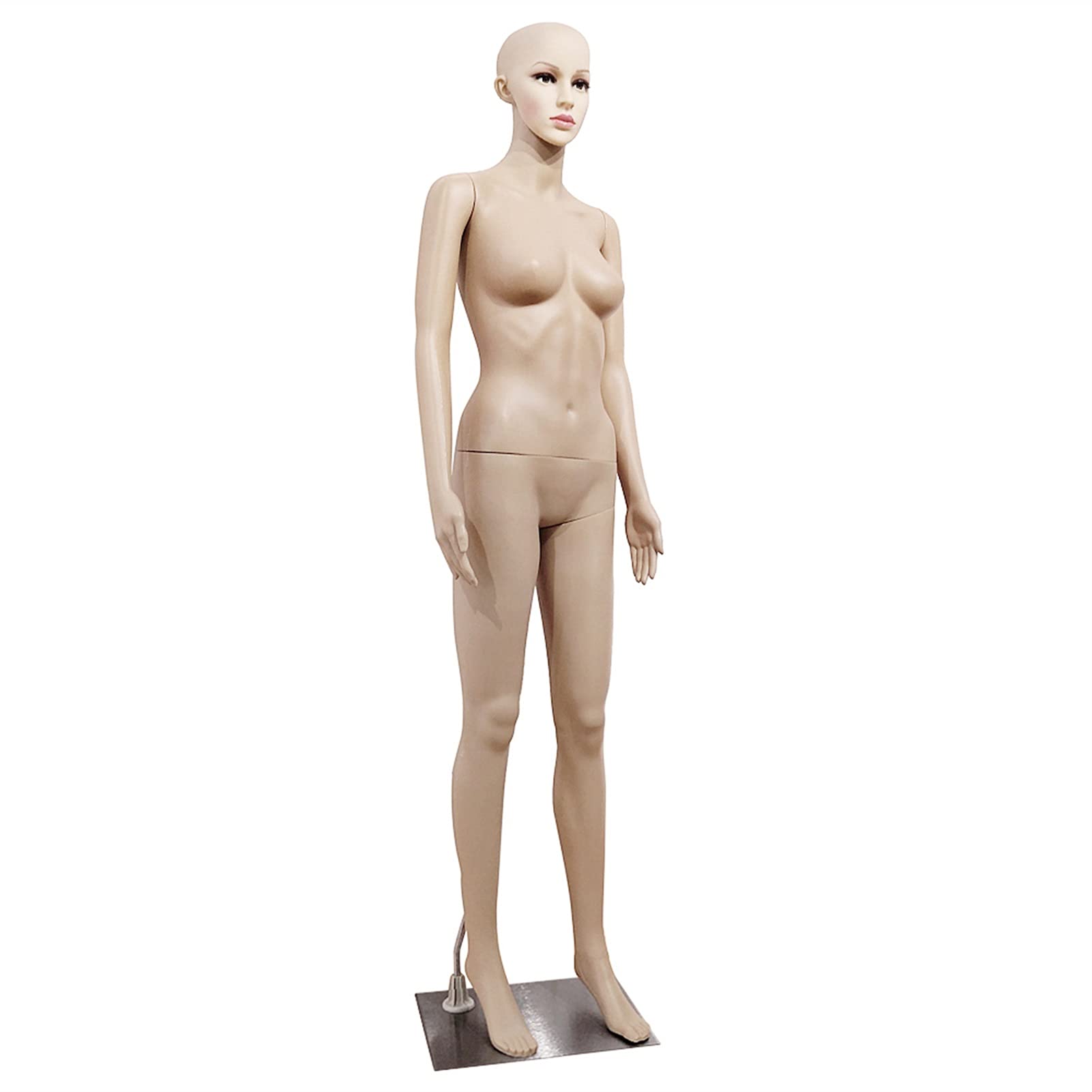 TOMYEUS Female Mannequin Torso - Straight Arm & Leg Display Form, Skin Tone Dress Form for Fashion Design, Costume Fitting, and Boutique Display - Perfect for Clothing Stores, Tailoring, and Photography Studios