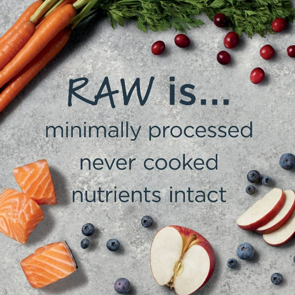 Instinct Raw Boost Whole Grain Real Salmon & Brown Rice Recipe Dry Dog Food - 4.5lb Bag | High Protein Grain-Inclusive Kibble for Adult Dogs | Perfect for Active Pets & Sensitive Stomachs