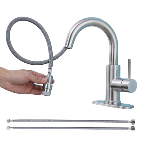 Brushed Nickel-With Sprayer