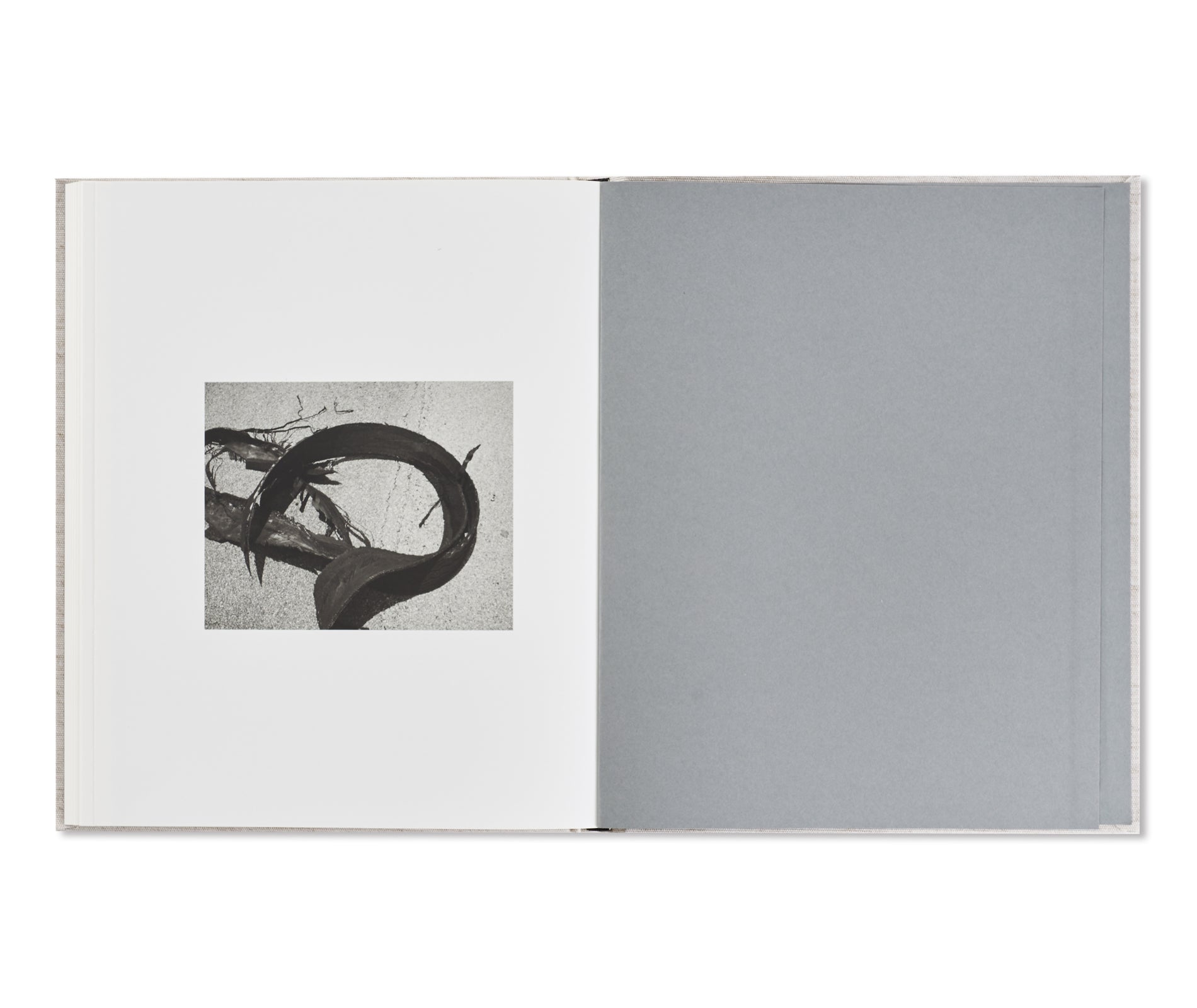 ONE SUN, ONE SHADOW by Shane Lavalette - Signed Photography Book - Perfect for Art Collectors & Photography Enthusiasts