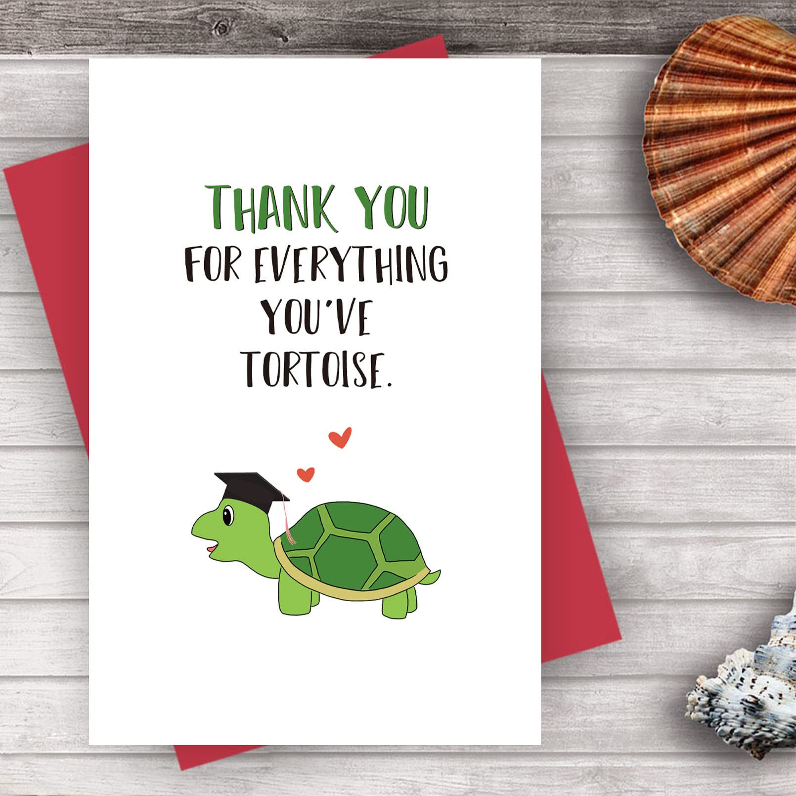 Alzombi Cute Turtle Teacher Appreciation Card - Pun Tortoise Thank You Greeting Card for Teacher's Birthday, Retirement & End of Year - Funny Classroom Gift for Educators