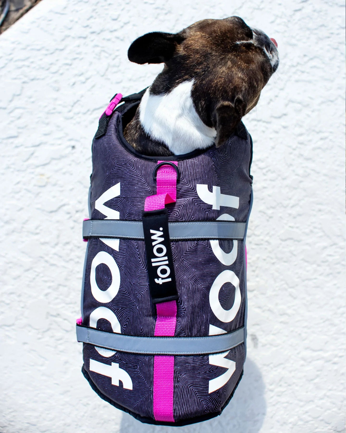 Pink Dog Life Jacket - Safe & Comfortable Pet Floatation Aid for Swimming, Boating & Water Activities