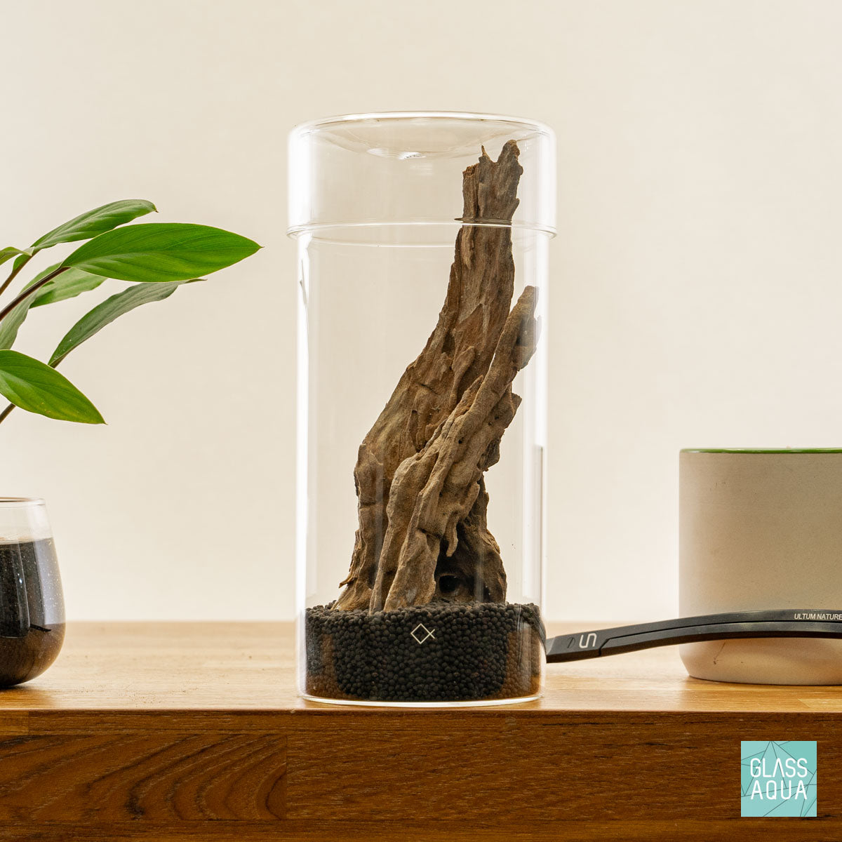 Miniature Terrarium Kit with Succulents & Moss - DIY Glass Garden for Home Decor, Office Desk, or Gift Idea - Perfect for Plant Lovers & Indoor Gardening Enthusiasts