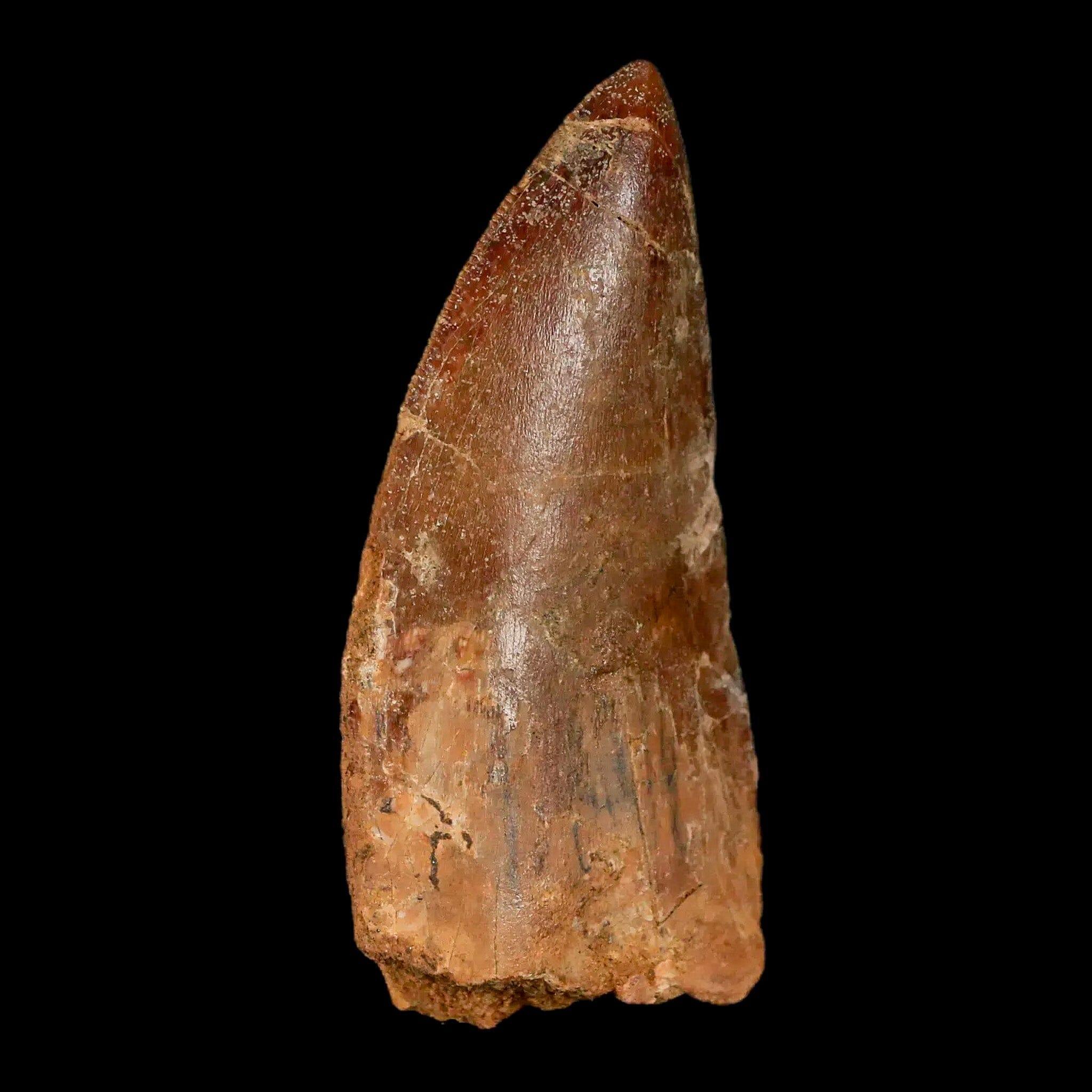 2.6