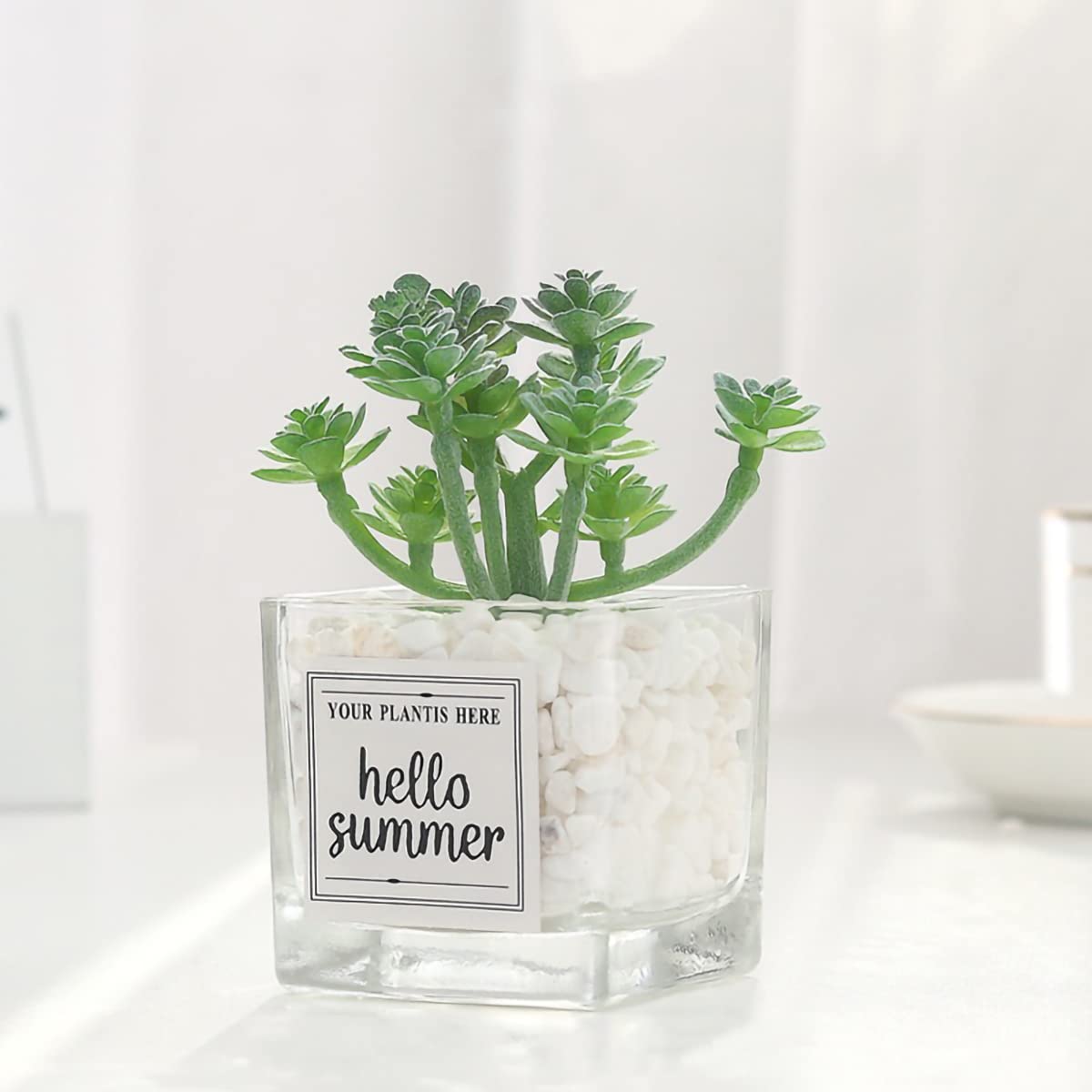 Mini Artificial Succulents in Glass Pots - Cute Desk & Home Decor