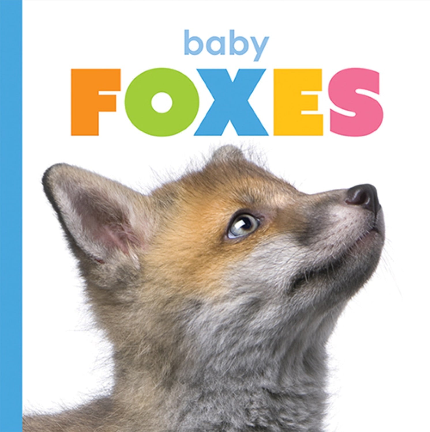 Baby Foxes Book 978-1-64026-246-1 - Adorable Fox Cubs Story for Kids, Perfect for Bedtime Reading & Early Learning