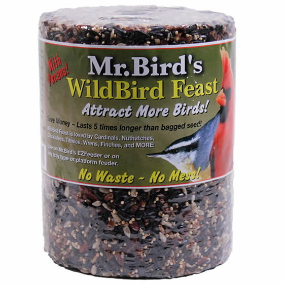 WildBird Feast Cylinder Large - Premium Bird Feeder for Wild Birds - Perfect for Backyard, Garden & Outdoor Bird Watching