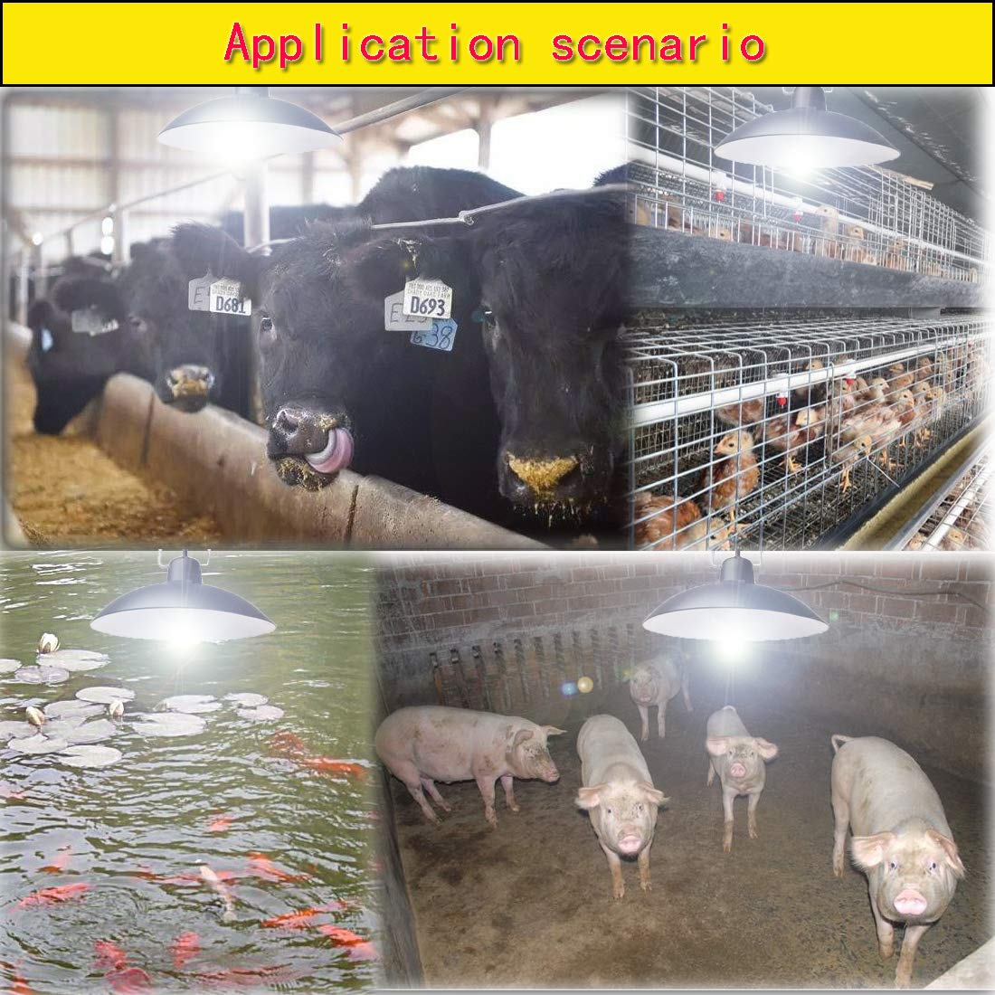 Upgraded Solar Pendant Lights with Dual Bulbs - IP65 Waterproof Outdoor Lighting with Remote Control & Auto Dusk to Dawn Sensor - Perfect for Sheds, Barns, Chicken Coops, Stables, Pig Pens, Tents & Patio Decor - Energy Efficient Solar Powered Lights for Garden, Yard & Farm Use
