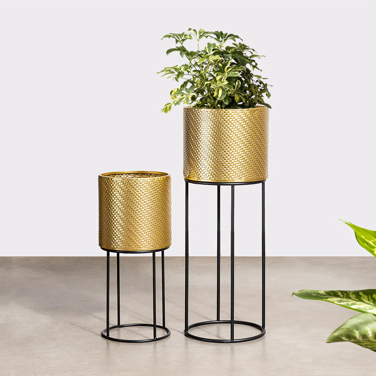 Golden Eclipse Metal Planters Set of 2 - Modern Indoor/Outdoor Flower Pots for Home Decor, Garden, Patio & Office - Durable Decorative Plant Containers with Drainage Holes