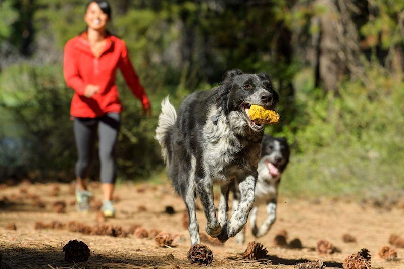 Ruffwear Gnawt a Cone™ Rubber Treat Dispenser Dog Toy - Durable Chew Toy for Training & Play - Interactive Fetch Toy for Dogs - Perfect for Outdoor Adventures & Indoor Playtime
