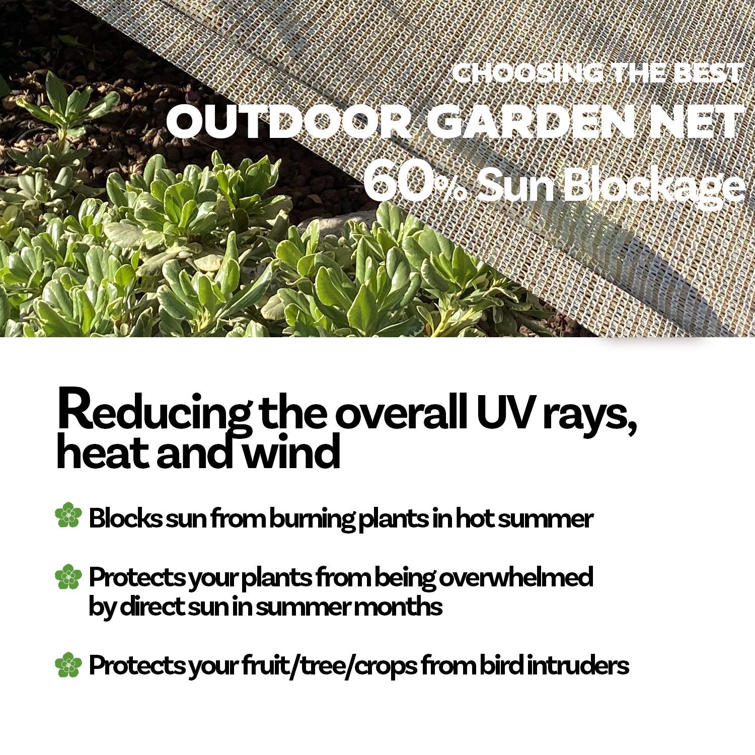 Premium HDPE Sun Shade Cloth 6x6 FT - UV Protection & Heat Resistant Outdoor Fabric with Grommets - 60% Sunblock for Plants, Pergolas, Decks & Greenhouses - Beige Shade Solution for Backyard, Patio & Garden Privacy
