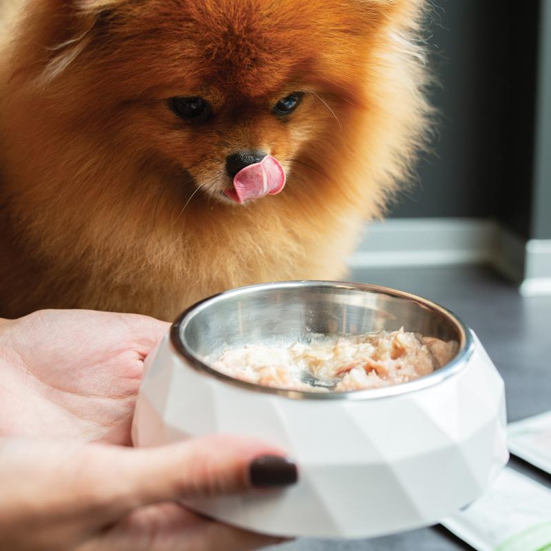 Premium Tuna & Rice Wet Dog Food for Adult Dogs - All Breeds, High Protein & Grain-Inclusive - Perfect for Mealtime, Training & Senior Dogs