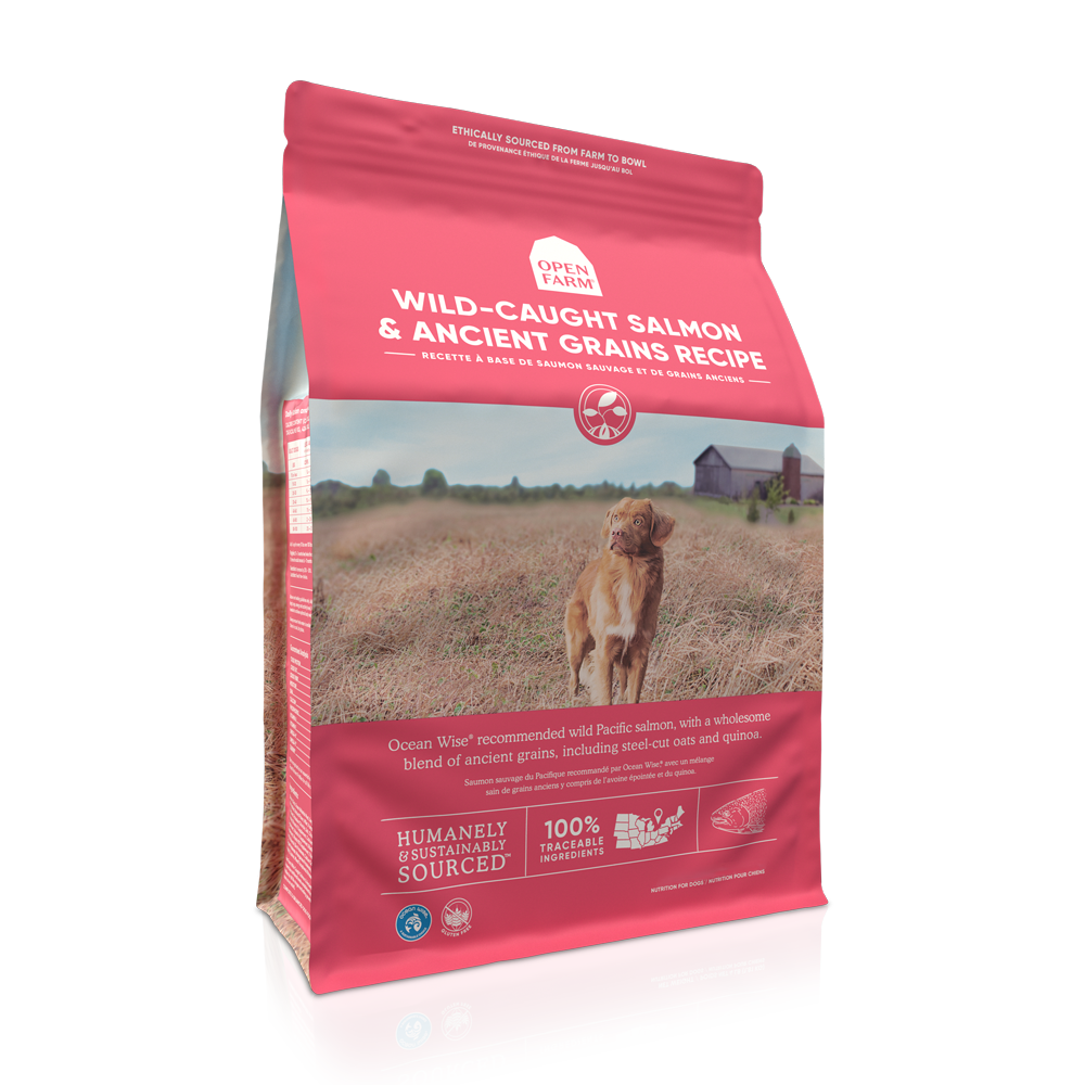 Open Farm Ancient Grains Dry Dog Food with Wild Salmon - Premium Grain-Inclusive Kibble for Adult Dogs - Supports Healthy Digestion & Shiny Coat - Perfect for Active Dogs & Daily Meals