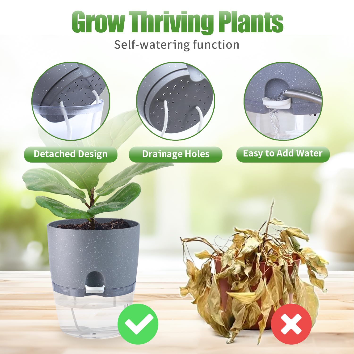 6 Pack Self Watering Plant Pots for Indoor Plants - 6 Inch Grey Plastic Flower Pots with Drainage Holes & Water Level Indicator, Perfect for African Violets, Herbs, Succulents & All Houseplants (Includes 1 Spray Bottle) - Ideal for Home, Office, Balcony & Garden Decor