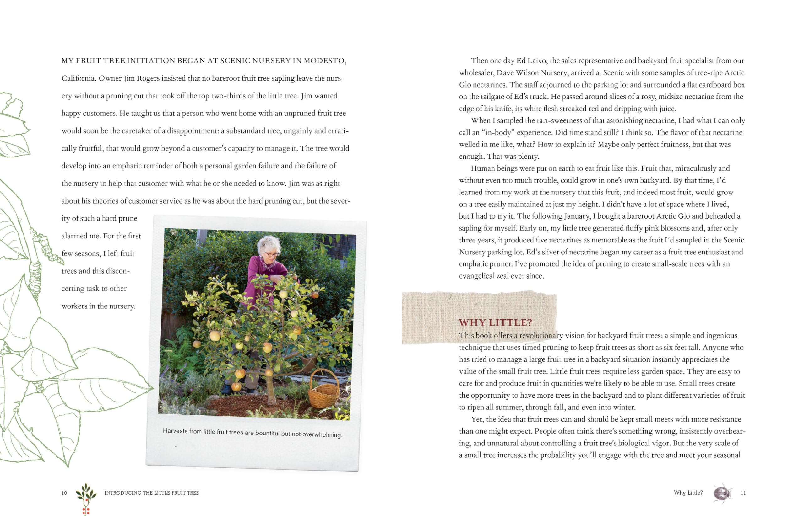 Grow a Little Fruit Tree: Easy Pruning Techniques for Small Spaces | Dwarf Fruit Trees for Home Gardens, Urban Farming & Backyard Harvesting