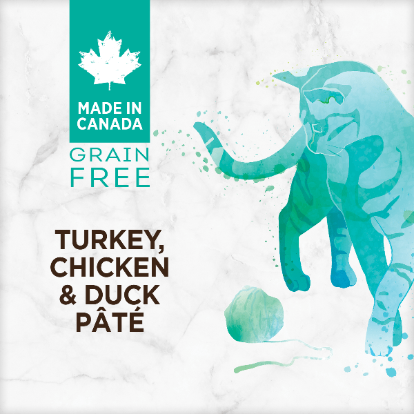 Nutrience Grain Free Turkey, Chicken & Duck Pate Canned Cat Food - High Protein Wet Cat Food for Adult & Senior Cats - Perfect for Picky Eaters & Digestive Health