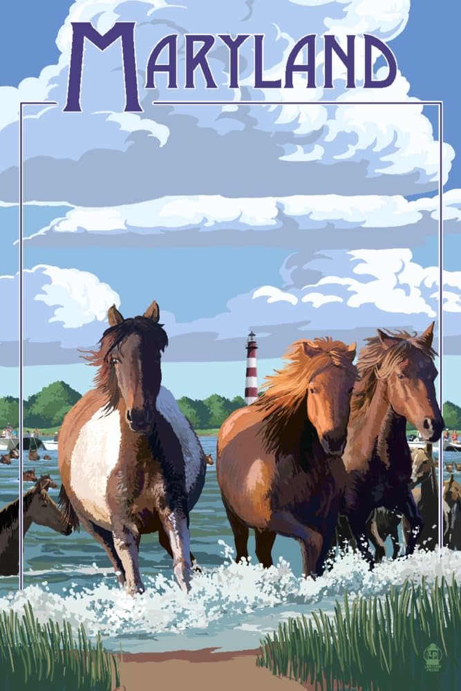 Lantern Press Maryland Pony Swim 16x24 Wrapped Canvas Wall Art - Coastal Home Decor, Living Room & Bedroom Wall Decor, Perfect for Beach House & Nautical Theme
