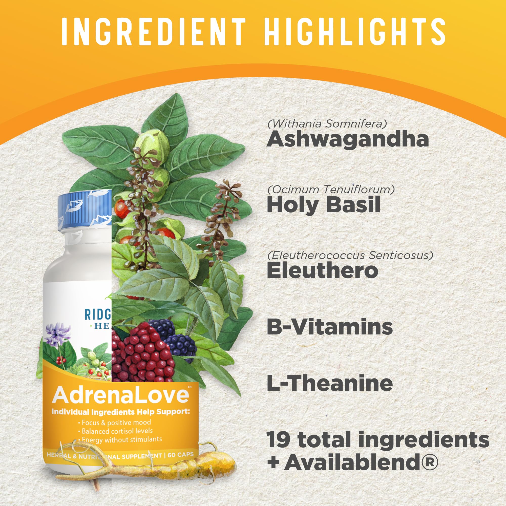 Adrenal Fatigue Supplement with Ashwagandha, L-Theanine & Adaptogens - AdrenaLove by Ridgecrest Herbals (60 Capsules, 30 Servings) for Stress Relief & Energy Support - Perfect for Busy Professionals & Students