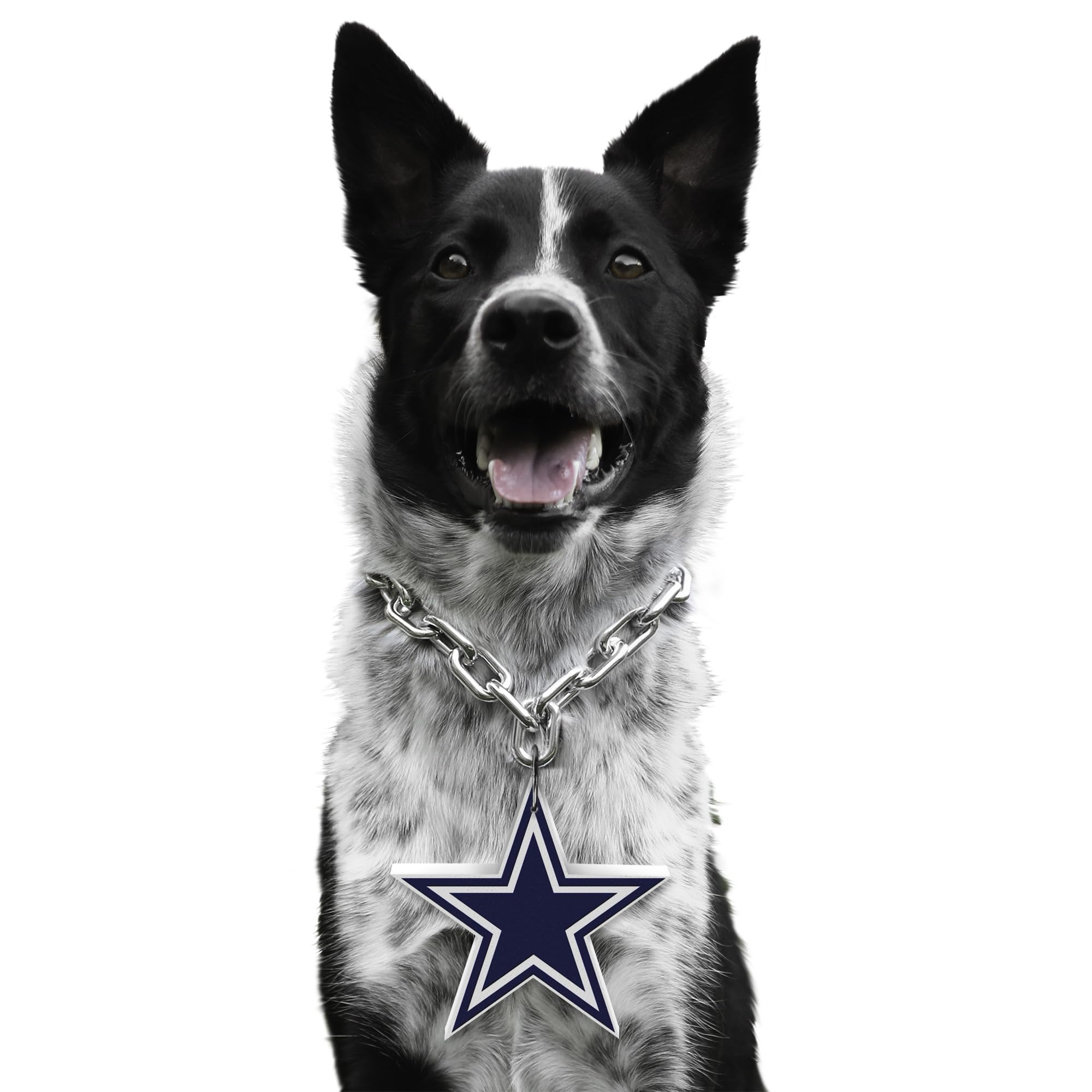 Littlearth NFL Pet Fan Chain - Officially Licensed Dog Collar for Football Fans - Perfect for Game Day, Tailgating & Showing Team Spirit