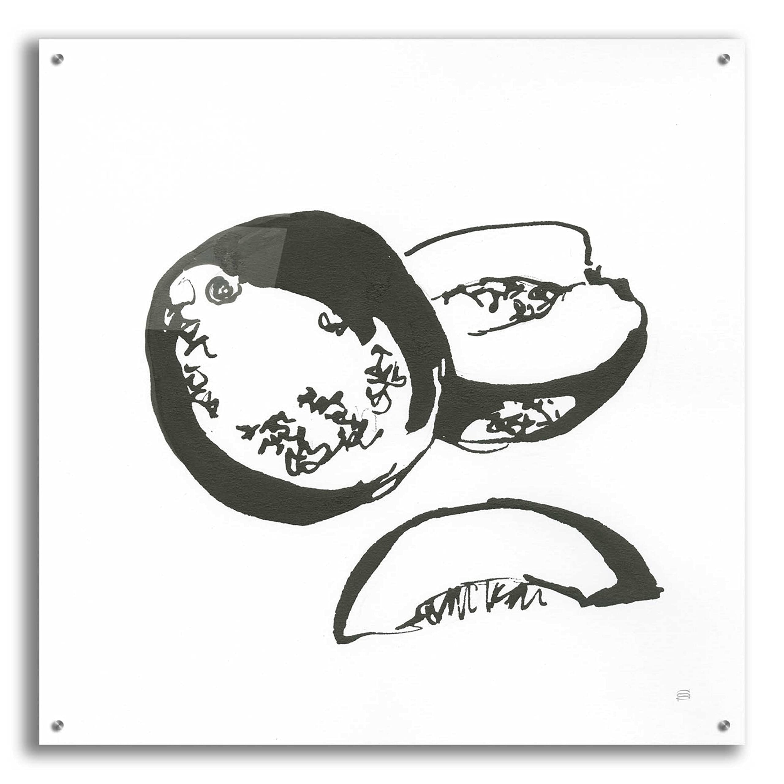 Chris Paschke 'Cantaloupe II BW' Acrylic Glass Wall Art - 36x36 Inches Modern Abstract Painting for Living Room, Bedroom & Office Decor
