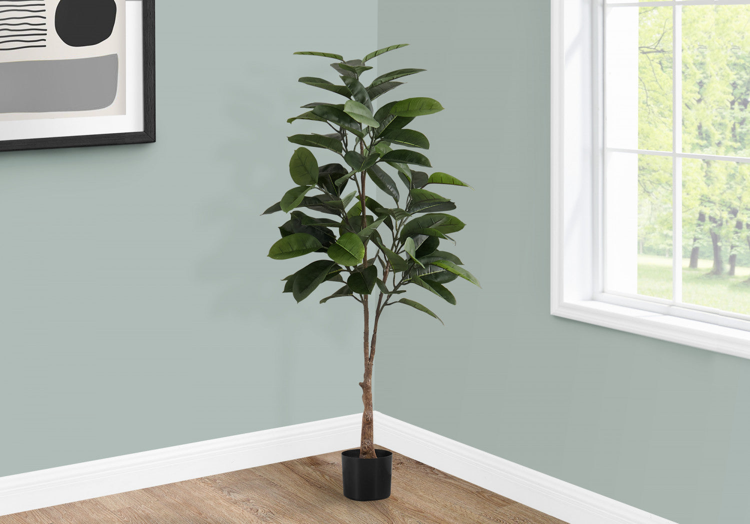 52 Rubber Tree Plants with 5 Black Pots - Indoor Houseplants for Home Decor, Office, and Living Room Greenery