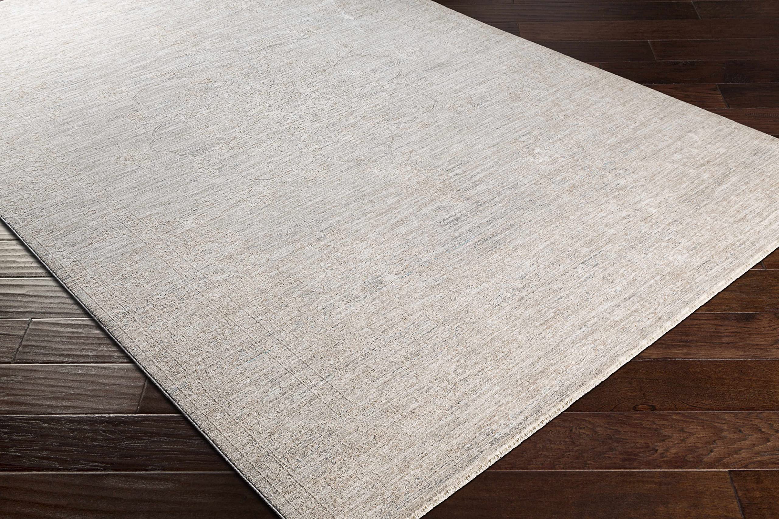 Hauteloom Monto Traditional Gray Beige Area Rug 9' x 12'2