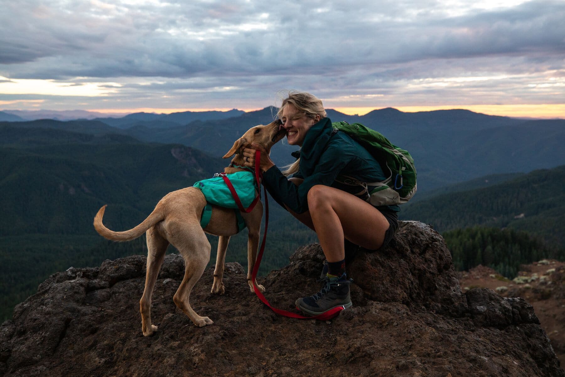 Ruffwear Collar Flat Out - Nature-Inspired Colorado River Design - Durable Dog Collar for Hiking, Camping & Outdoor Adventures