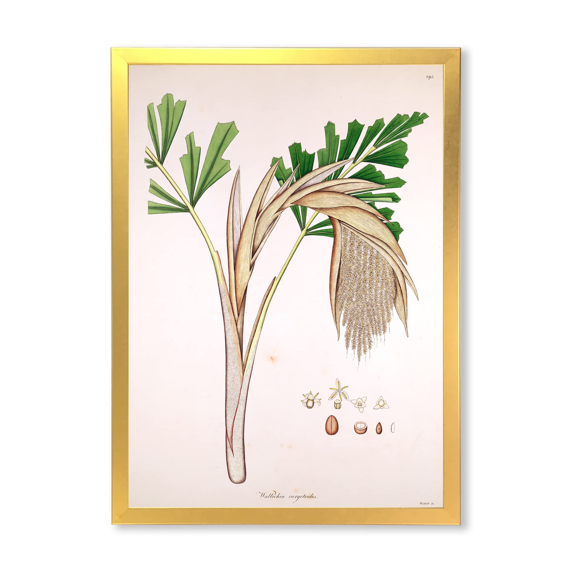 Vintage Farmhouse Wall Art - Plant Life XV Framed Botanical Print for Home Decor, Living Room, Bedroom & Office