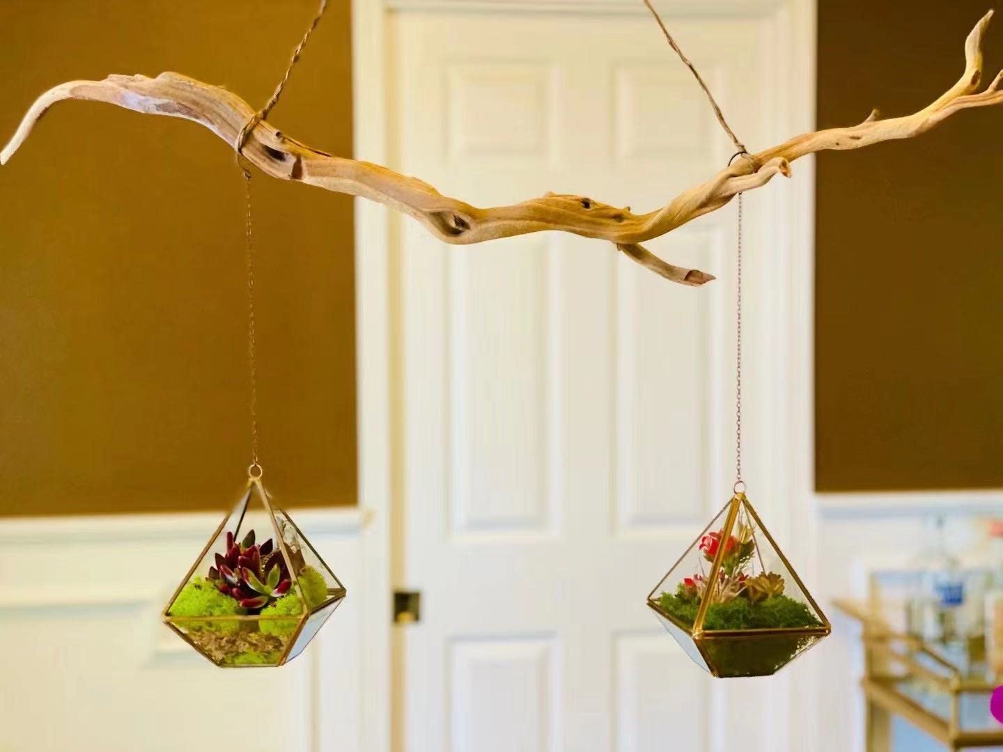WGV Hanging Geometric Planter Terrarium - 6