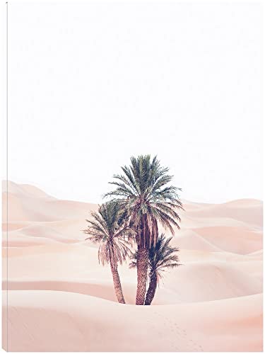 Oasis 2