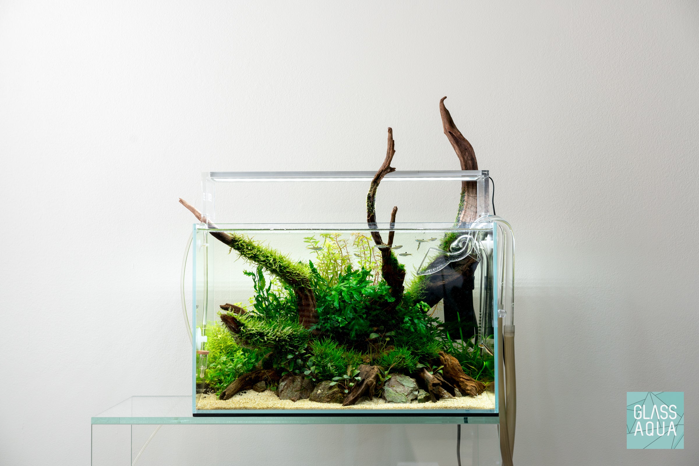Premium UNS Rimless Standard Glass Aquarium Tank - Crystal Clear View for Nano Fish Tanks, Planted Aquascapes & Home/Office Decor