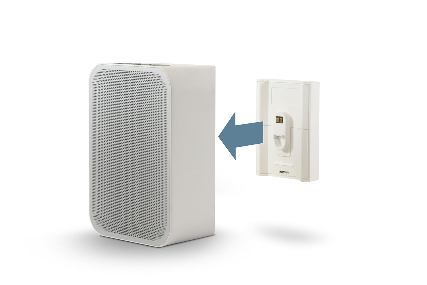 Bluesound Pulse Flex Battery Pack - Portable Power for Wireless Speaker | Perfect for Outdoor, Travel & Home Use