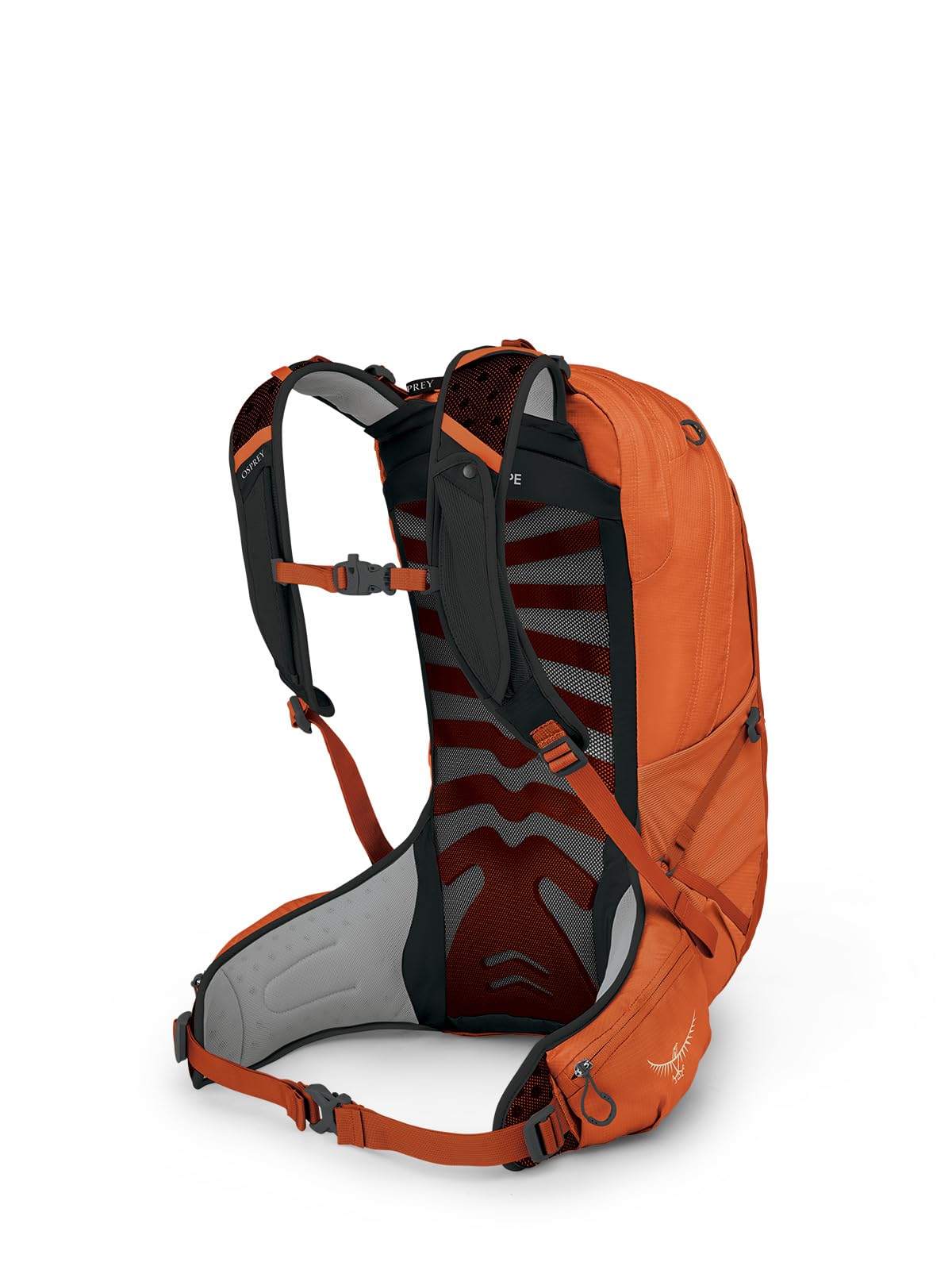 Osprey Talon Earth 22L Unisex Hiking Backpack - Lightweight & Durable Daypack for Outdoor Adventures, Camping & Travel (Coral)
