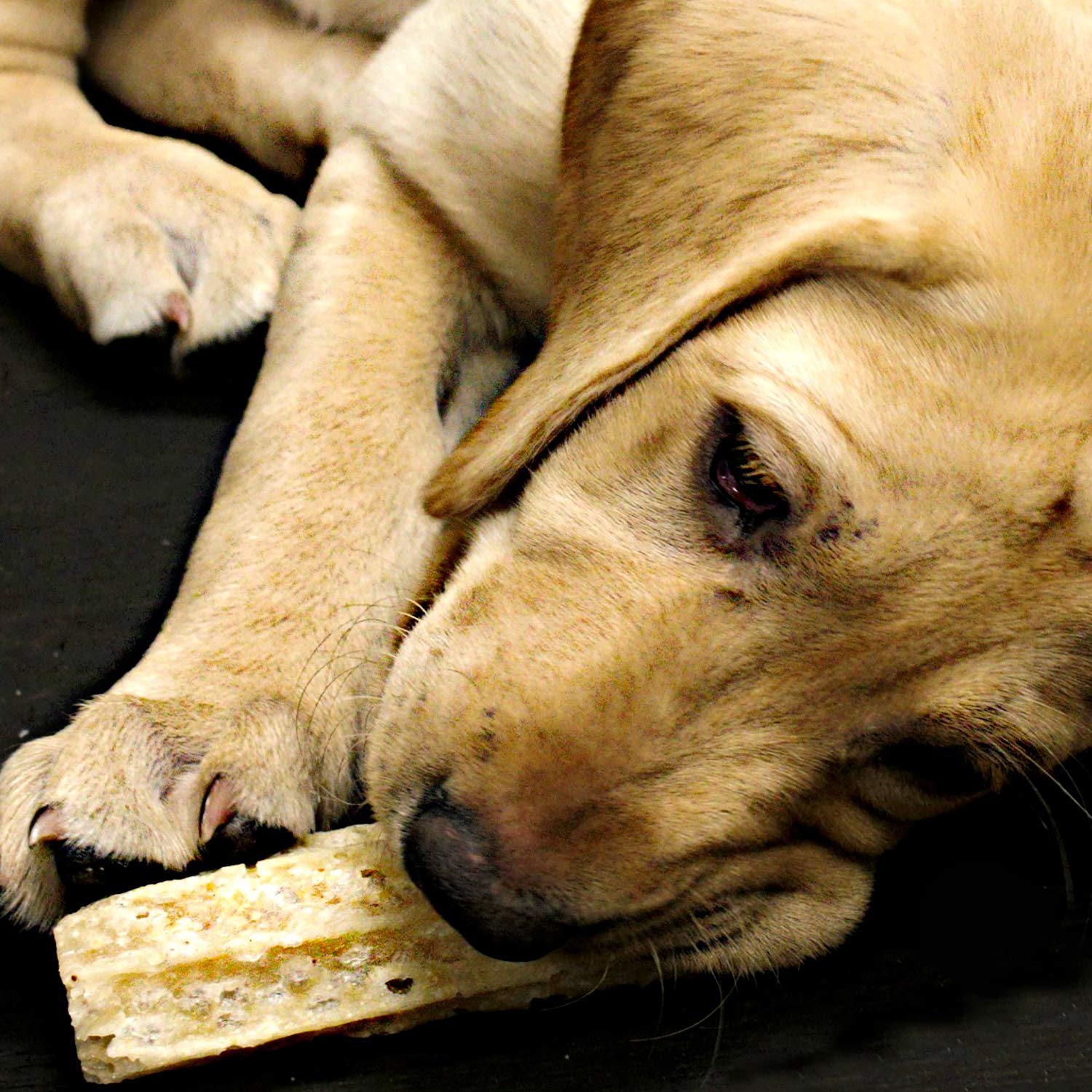 Happy Teeth Natural Cheese Dog Chews - Dental Treats for Dogs | Gluten Free, Lactose Free, Wheat Free, Soy Free | Cheese, Peanut, Bacon Flavors | 2 Chews per Resealable Pouch, 3 Pouches per Pack | Promotes Oral Health & Fresh Breath - Perfect for Training, Rewards, and Daily Dental Care