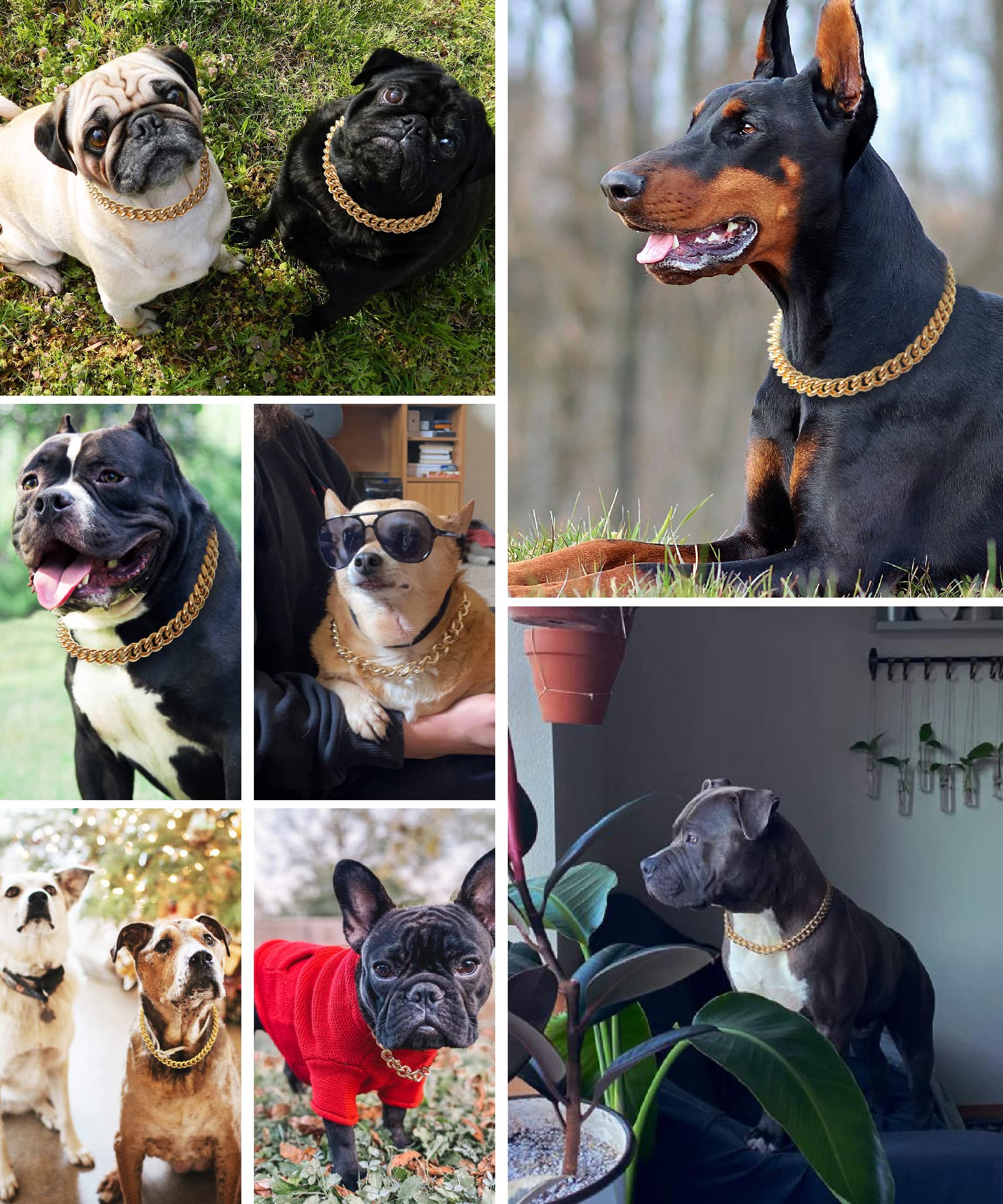 15mm Gold Chain Dog Collar - Stylish Light Metal Puppy Necklace for Bulldogs & Small Dogs (11 inches) | Perfect for Pet Costumes, Parties & Fashion Accessories