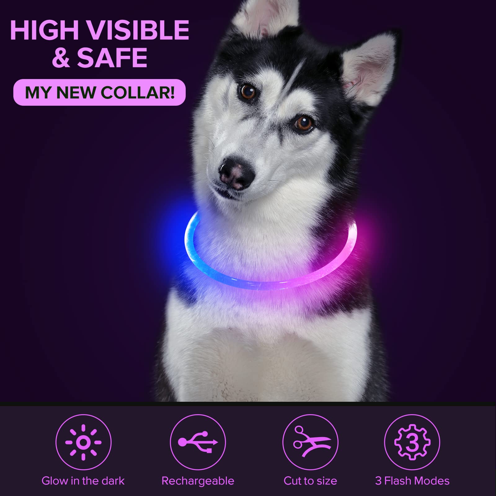 Colaseeme LED Dog Collar - USB Rechargeable Glow Safety Collar for Small Medium Large Dogs (Blue & Pink) | Night Walking, Jogging & Outdoor Adventures