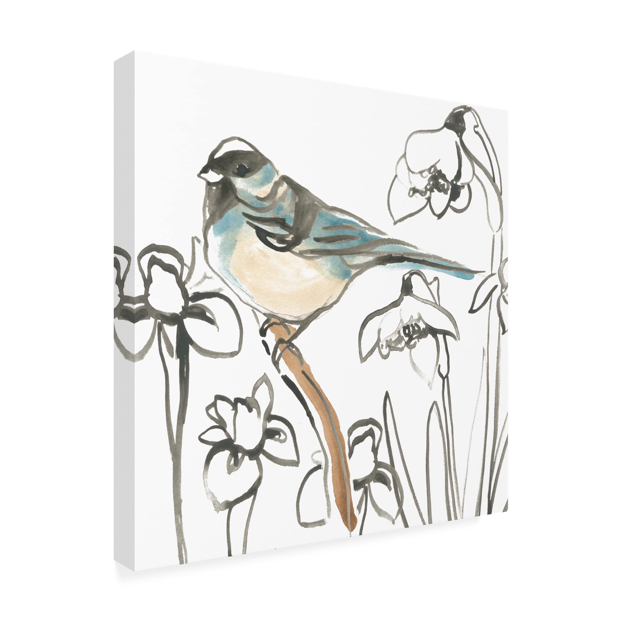 Trademark Fine Art 'Songbird Meadow II' Canvas Wall Art by June Erica Vess - Hand-Painted Floral Landscape Painting for Living Room, Bedroom & Office Decor