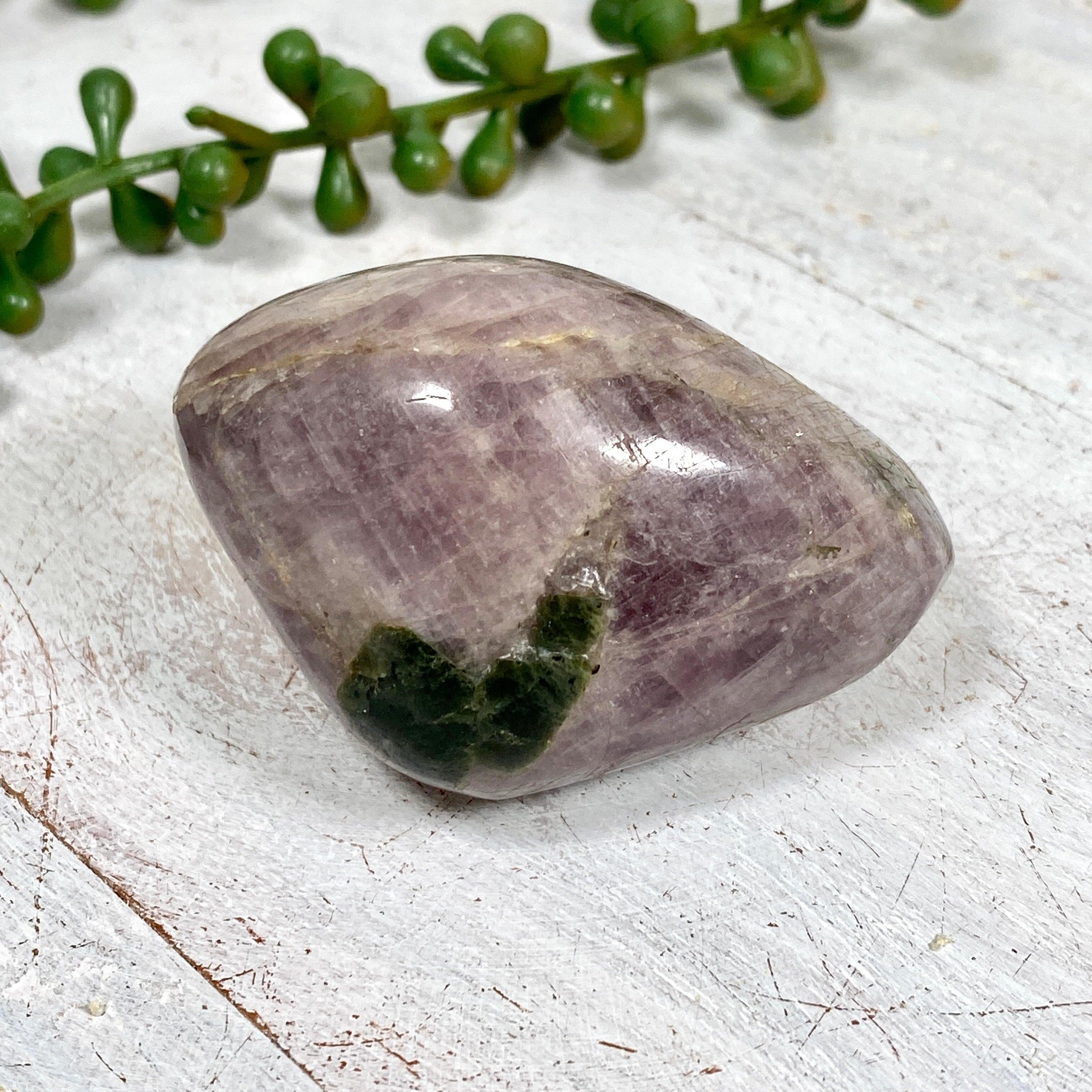 Rare Angellite Anhydrite Large Gallets with Chrome Diopside & Orange Calcite CR3490 - Natural Healing Crystals for Meditation, Reiki & Home Decor