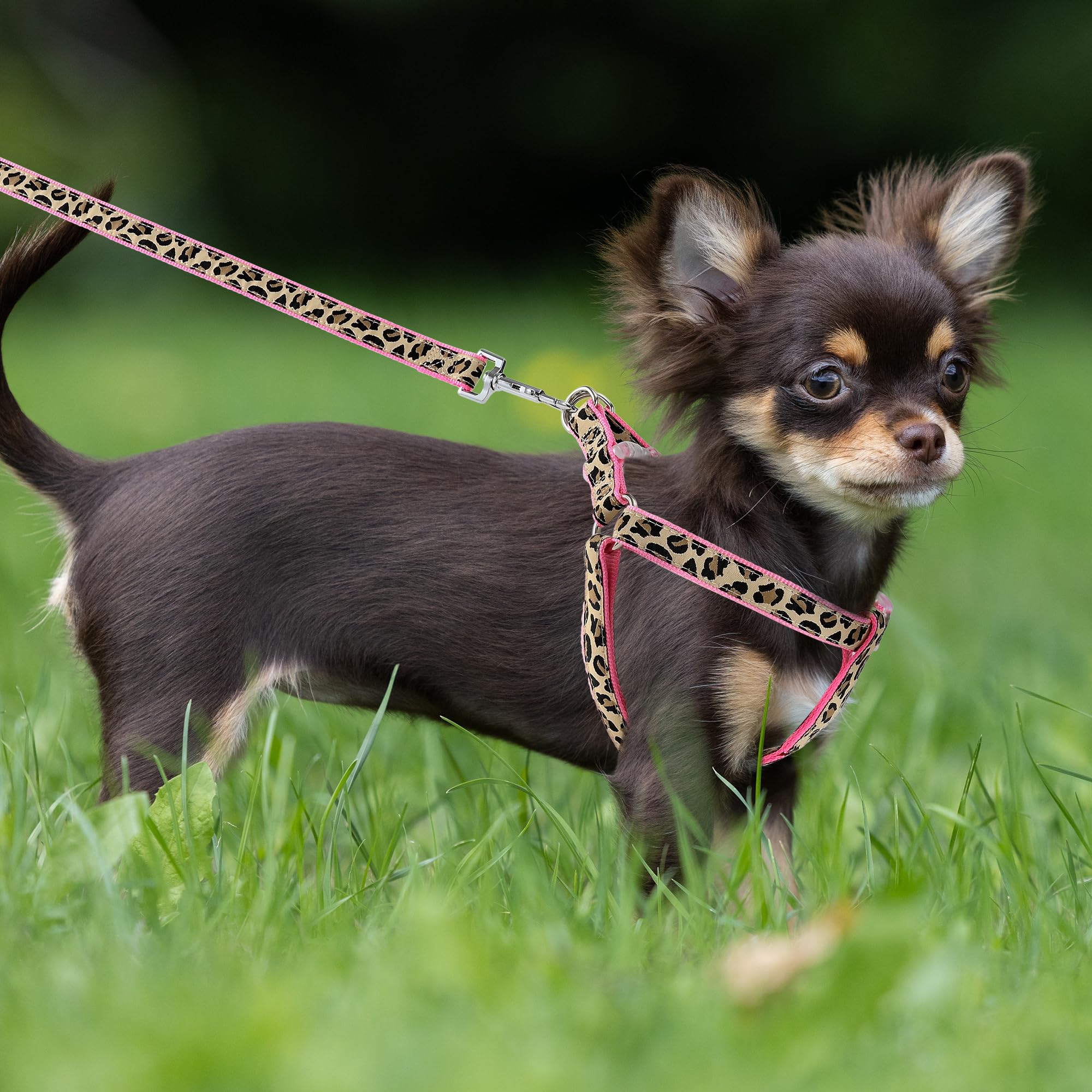 Mile High Life Dog Collar, Harness and Leash Set - Leopard Print Pet Accessories for Small Medium Large Dogs | Adjustable & Durable Walking Gear for Daily Walks, Training, Outdoor Adventures