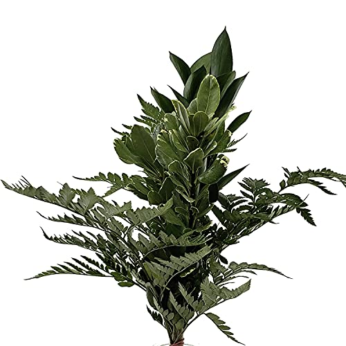 Bloomingmore Fresh Cut Mixed Greens Bouquet - 15-Pack Premium Greenery for Home & Office Decor | Perfect for Weddings, Birthdays, Parties, Housewarming & DIY Projects | Long-Lasting Floral Arrangement for Gifts & Special Events