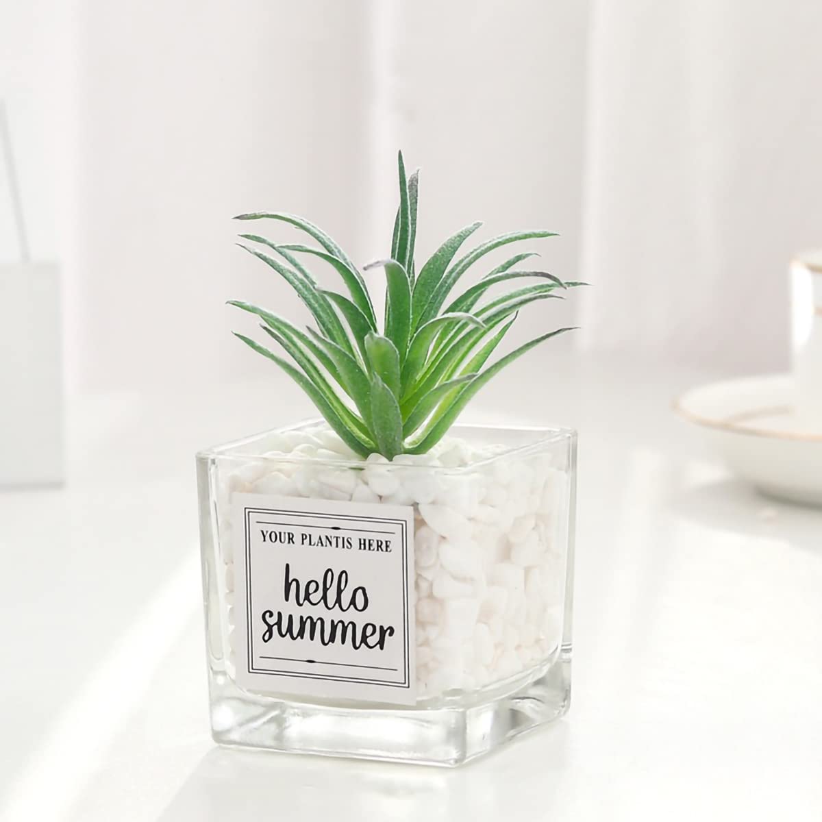 Mini Artificial Succulents in Glass Pots - Cute Desk & Home Decor