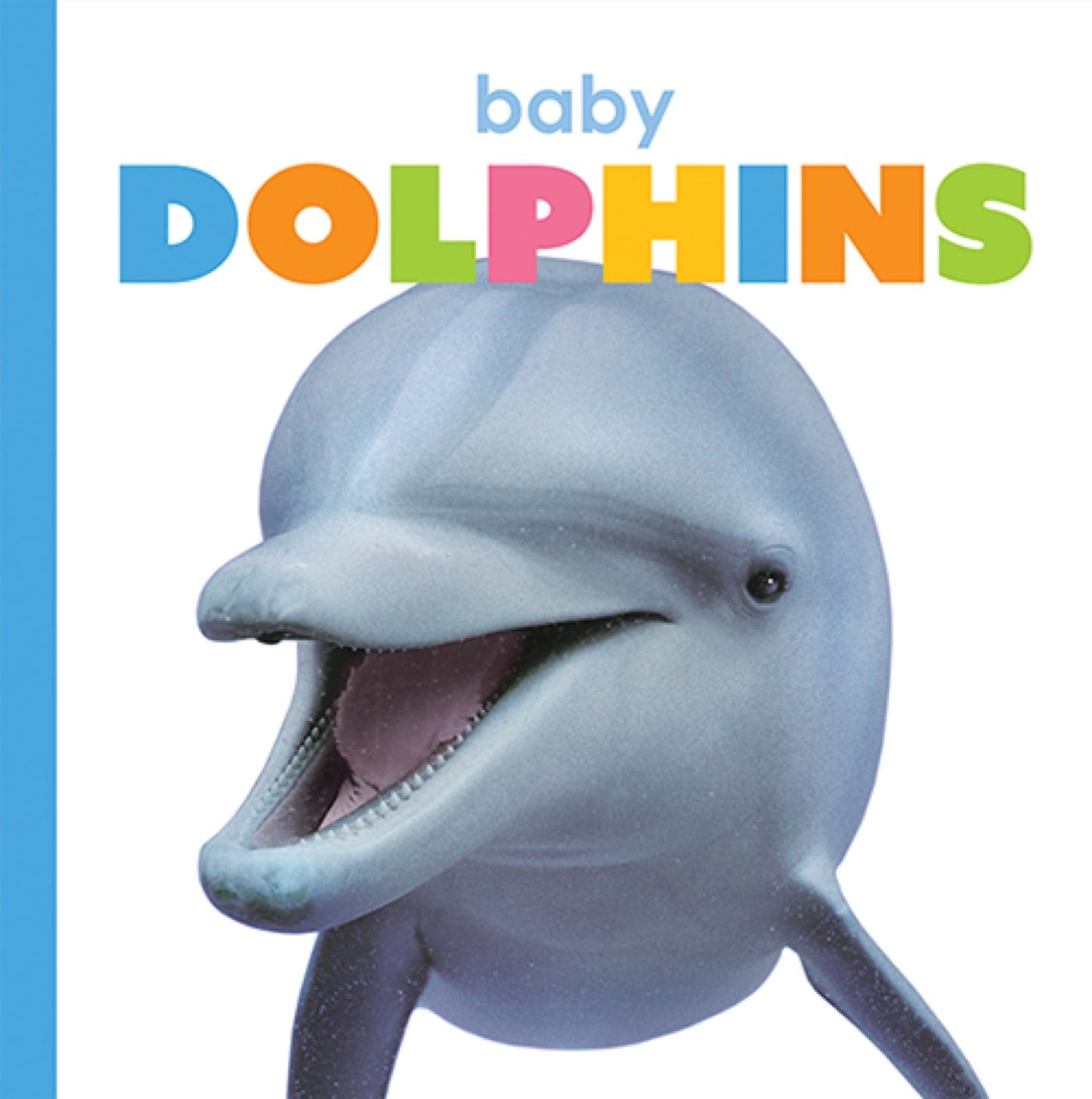 Baby Dolphins Book - ISBN 9781640262454 - Fun & Educational Ocean Animal Story for Kids, Perfect for Bedtime Reading & Classroom Learning